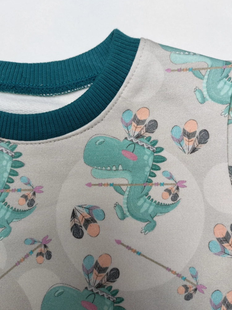 bluza dinozaury 2
